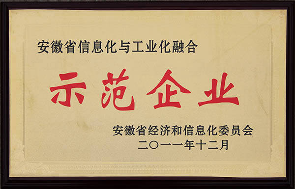 安徽省两化融会树模企业